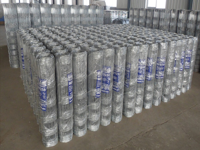 草原防護(hù)網(wǎng)