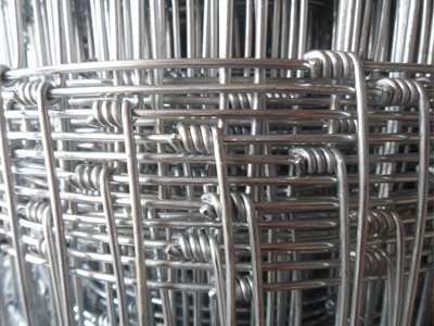 草原隔離網(wǎng)